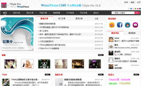 國(guó)人wordpress cms主題 – tstyle
